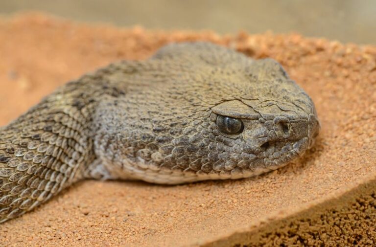 Why are my heels so dry and scaly?