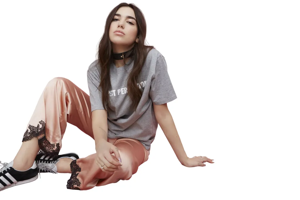 Dua Lipa'S Crazy Transparent Dress Is The Talk Of The 'Barbie' Premiere » Thequartergrill